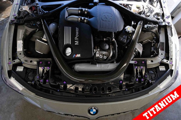 Titanium BMW 2014-2019 M2C/M3/M4 Dress Up Hardware Kit (F80/F81/F82/F83/F87)