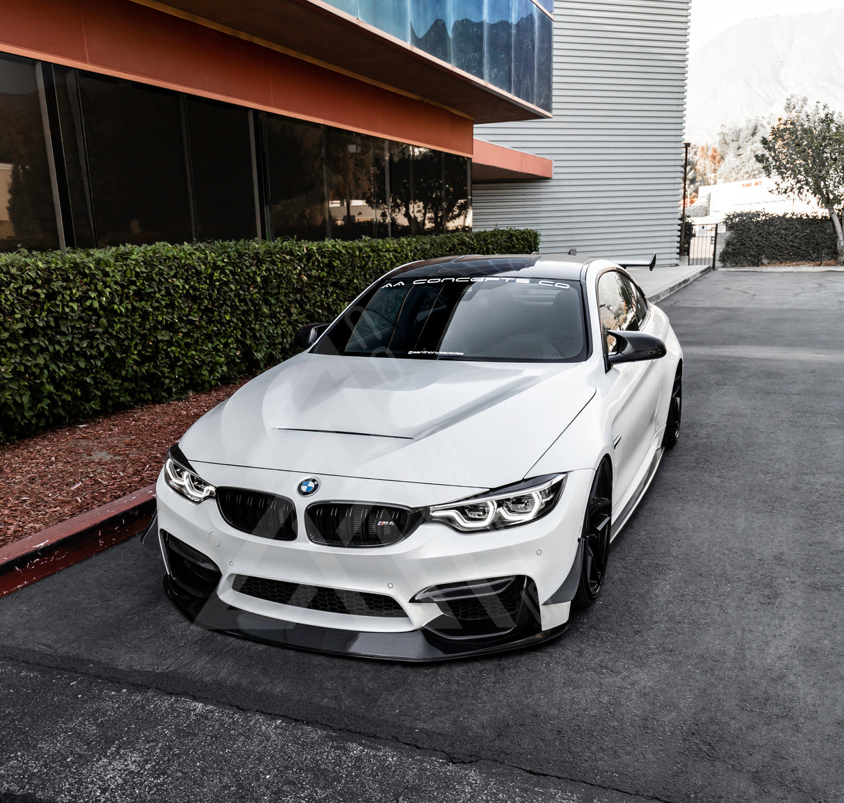 M3 M4 F8X ALUMINUM GTS HOOD - AA CONCEPTS CO 